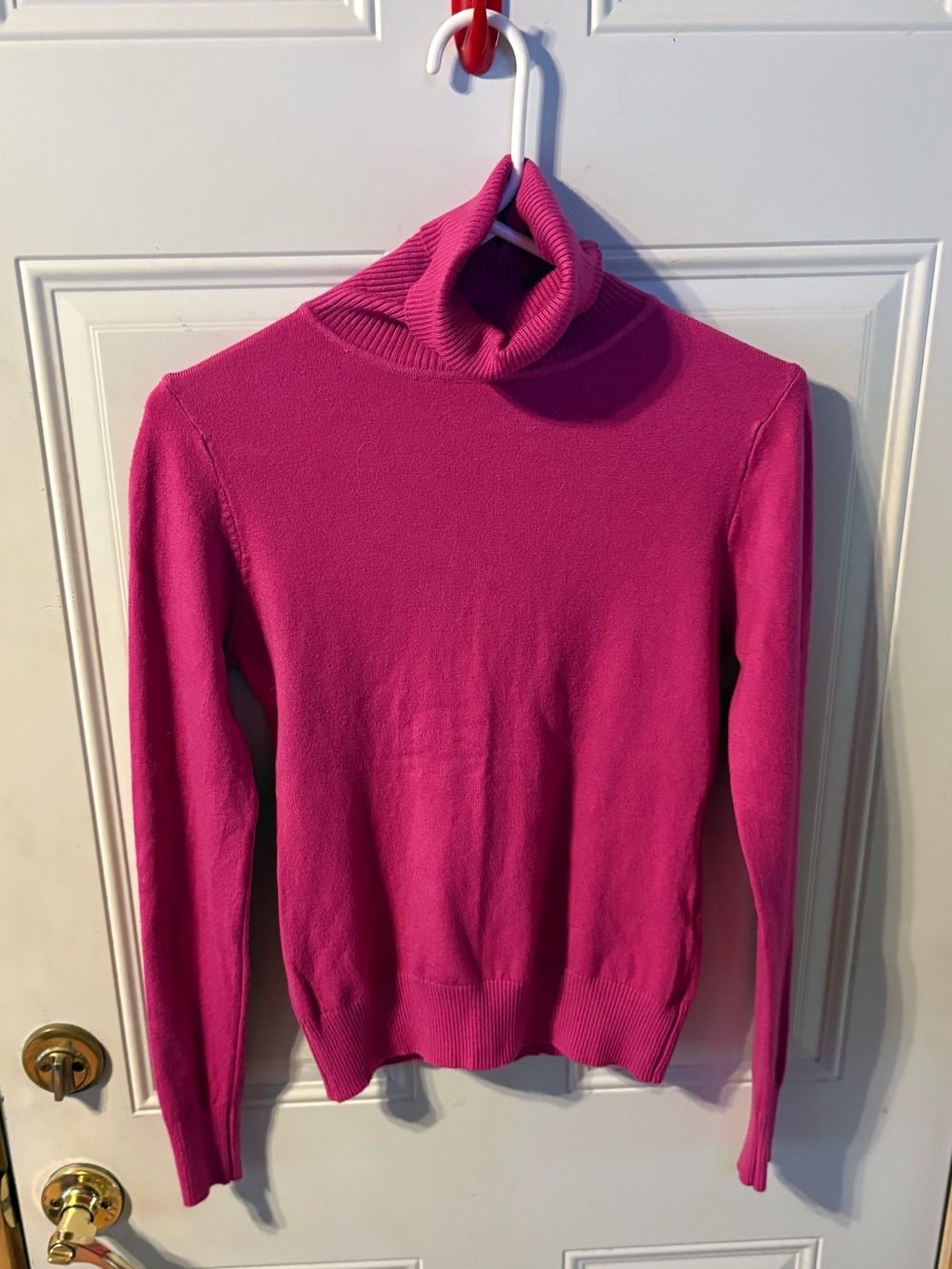 Deluc. Hot Pink Turtleneck Sweater Size X Small